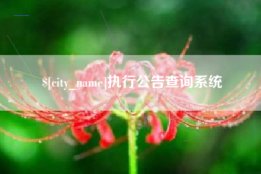 定安执行公告查询系统