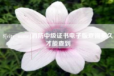 定安消防中级证书电子版查询多久才能查到