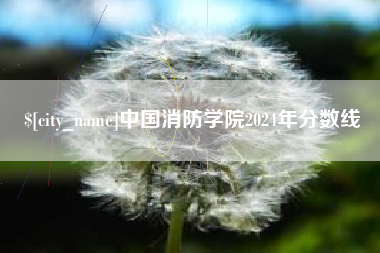 定安中国消防学院2024年分数线