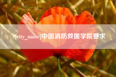 定安中国消防救援学院要求