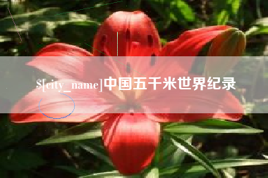 定安中国五千米世界纪录
