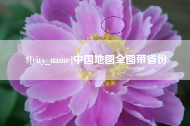 定安中国地图全图带省份