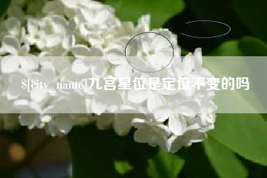 定安九宫星位是定位不变的吗