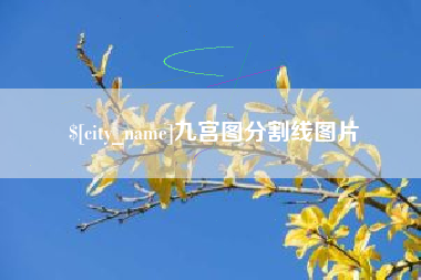 定安九宫图分割线图片