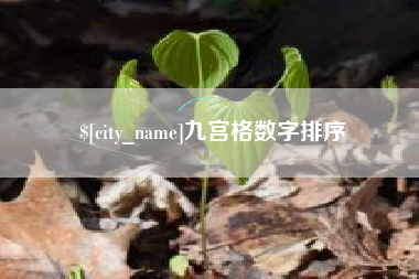 定安九宫格数字排序