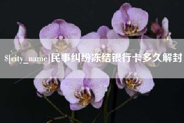 定安民事纠纷冻结银行卡多久解封