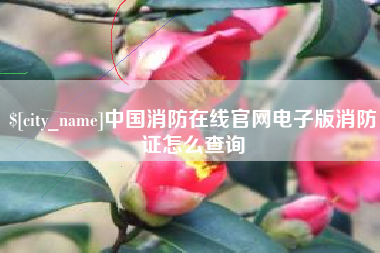 定安中国消防在线官网电子版消防证怎么查询