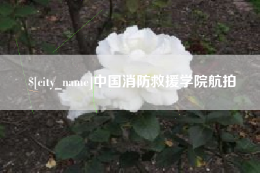 定安中国消防救援学院航拍