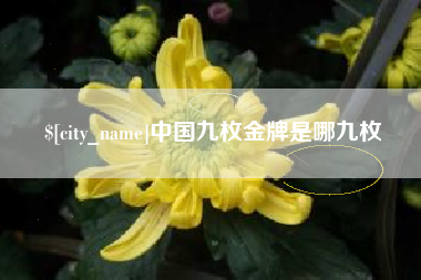 定安中国九枚金牌是哪九枚