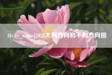 定安2025大利方向和不利方向图