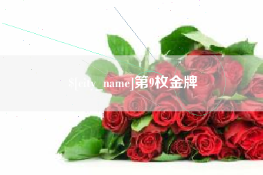 定安第9枚金牌