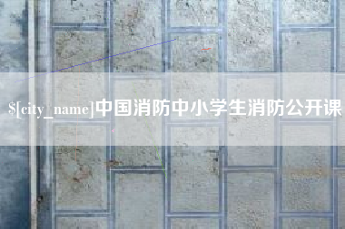 定安中国消防中小学生消防公开课
