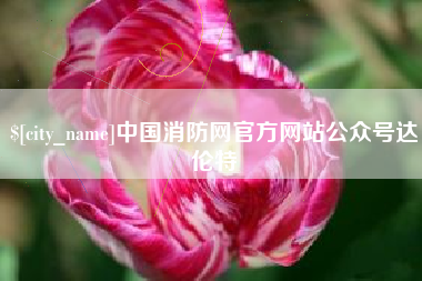 定安中国消防网官方网站公众号达伦特