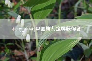 定安中国第九金牌获得者