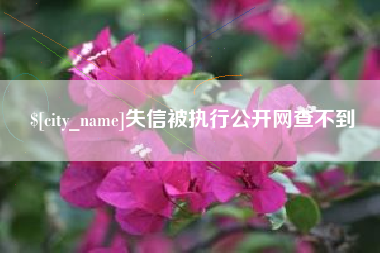 定安失信被执行公开网查不到