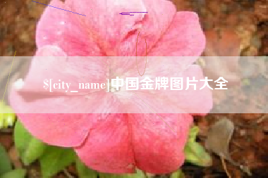 定安中国金牌图片大全
