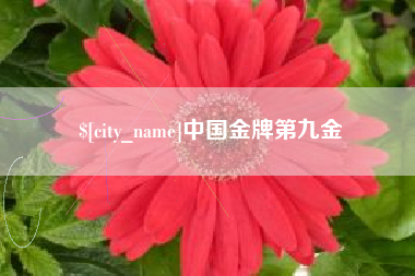 定安中国金牌第九金