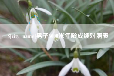 定安男子5000米年龄成绩对照表