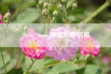 定安中国地图9宫格