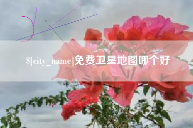 定安免费卫星地图哪个好