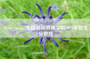 定安中国消防救援学院2024年招生分数线
