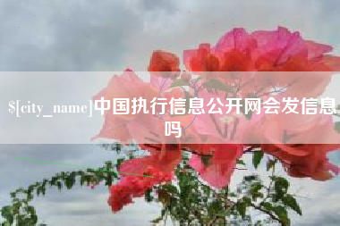 定安中国执行信息公开网会发信息吗