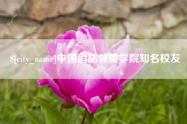 定安中国消防救援学院知名校友