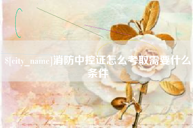定安消防中控证怎么考取需要什么条件