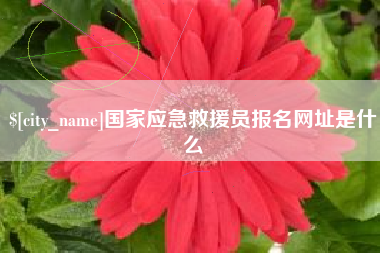 定安国家应急救援员报名网址是什么