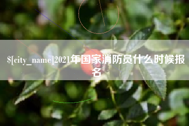 定安2021年国家消防员什么时候报名