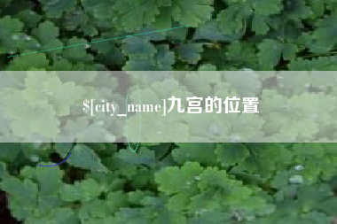 定安九宫的位置