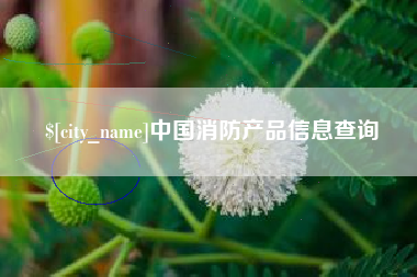定安中国消防产品信息查询