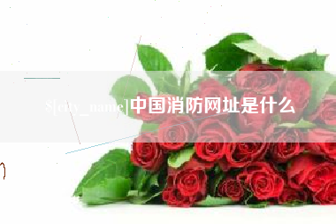 定安中国消防网址是什么