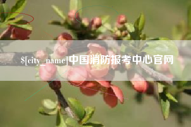 定安中国消防报考中心官网