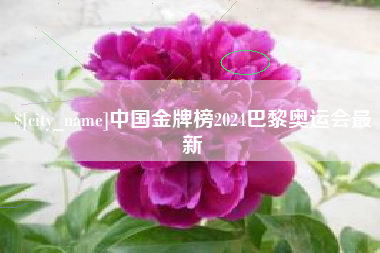 定安中国金牌榜2024巴黎奥运会最新
