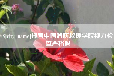 定安报考中国消防救援学院视力检查严格吗