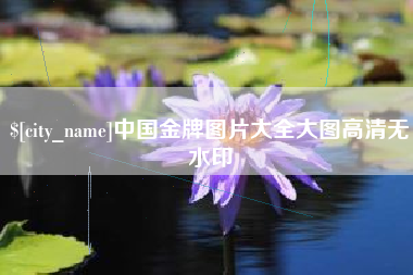 定安中国金牌图片大全大图高清无水印