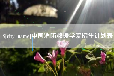 定安中国消防救援学院招生计划表