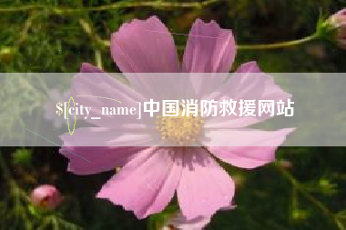 定安中国消防救援网站