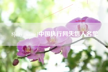定安中国执行网失信人名单