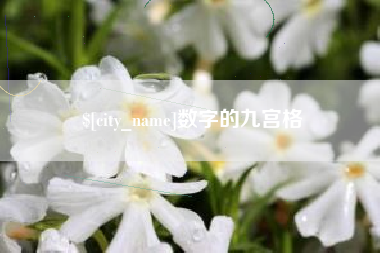 定安数字的九宫格
