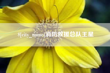 定安消防救援总队王星