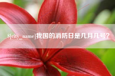 定安我国的消防日是几月几号？