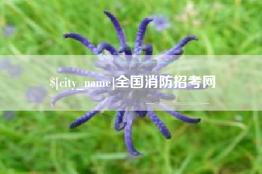 定安全国消防招考网