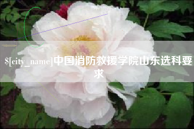 定安中国消防救援学院山东选科要求