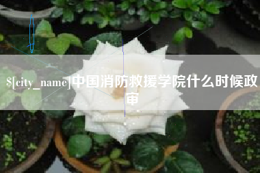 定安中国消防救援学院什么时候政审