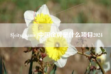 定安中国金牌是什么项目2024