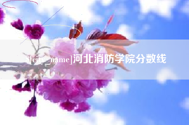 定安河北消防学院分数线