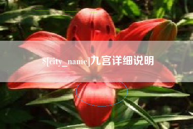 定安九宫详细说明