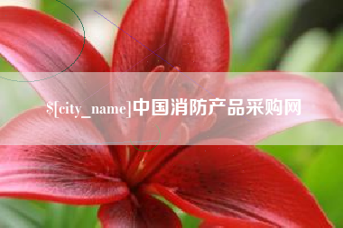 定安中国消防产品采购网